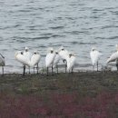 (유)동부에너지 이미지