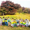 산울림 유아숲체험원 이미지