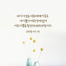 [NLT MDS 9-11-2] 요한복음 15장 11 이미지