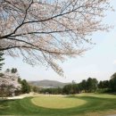 법인숲과숲사이 이미지