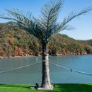 하이락리조트2 이미지