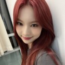 더바이닐 이미지