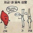 양인모 바이올린 리사이틀 이미지