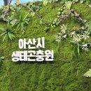 실옥로 | 천안아산 아이랑 가기 가성비 좋은 곳,아산 곤충생태원 오랜만에 다시 가본 후기