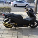 태이모터스 이미지