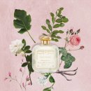 로사약국 이미지