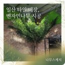 벤자민 | 가짜 티 안 나는 인조나무인테리어 비결, 천연 목대 벤자민 시공 후기