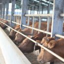 구삼농장 이미지