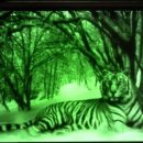 JUN CORPORATION 이미지