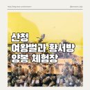 여왕벌 | 경남 산청 여왕벌과 황서방 양봉체험장 방문 후기