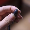 오즈바이오 이미지