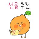제주이프
