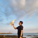 안덕유선약국 이미지