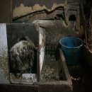 추산농장 이미지