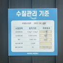 가족여름휴가로 딱! 포천 페리아도 야외 방갈로 수영장 후기