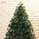 호텔서락 이미지