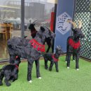 향촌약국 이미지