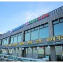 바다 바라기 이미지