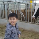 백제목장 이미지