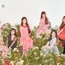 5(오) 이미지