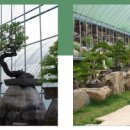 목석화수 이미지