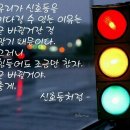 사과향기 이미지