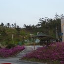 강릉충전소 이미지