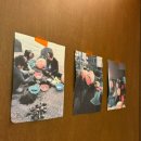 스테이 안도감 제주 이미지