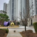 수원-1146 이미지