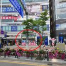 장기보룡약국 이미지