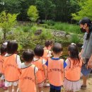 선어린이집 이미지