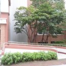 세광아파트공원 이미지