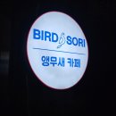 영동카프라자 이미지