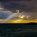 우리두리 이미지