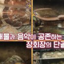 해수식당 이미지