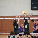 홍천해당화 이미지