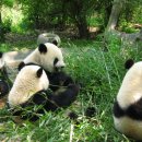 성도 농장 이미지