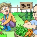 동네채소집