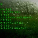 라스페란자 이미지