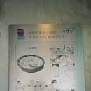 완산-126 이미지