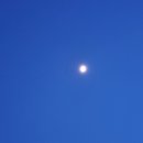 개인공간 애견펜션 이미지