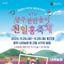 양주시, ‘천만송이 천일홍축제’ 연계 특별 관광상품 마련 이미지