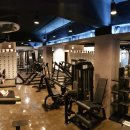 레몬트리짐 이미지