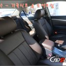 카투유 이미지