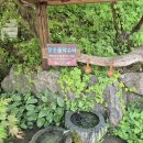 인제다육식물원 | 근로자의 날엔... 그냥 일하는게 낫습니다. ㅋ ( 본프롬테라 & 율봄식물원...ㅎ )