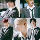 그레이핏 이미지