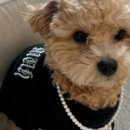 뮤즈 하우스 이미지