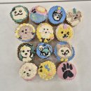 스툴 꾸미기 원데이 클래스 | 🐶🧁 댕댕이 컵케이크 꾸미기 원데이클래스 후기