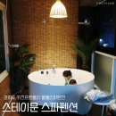 스테이문스파펜션 이미지