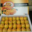 귤림하우스 이미지